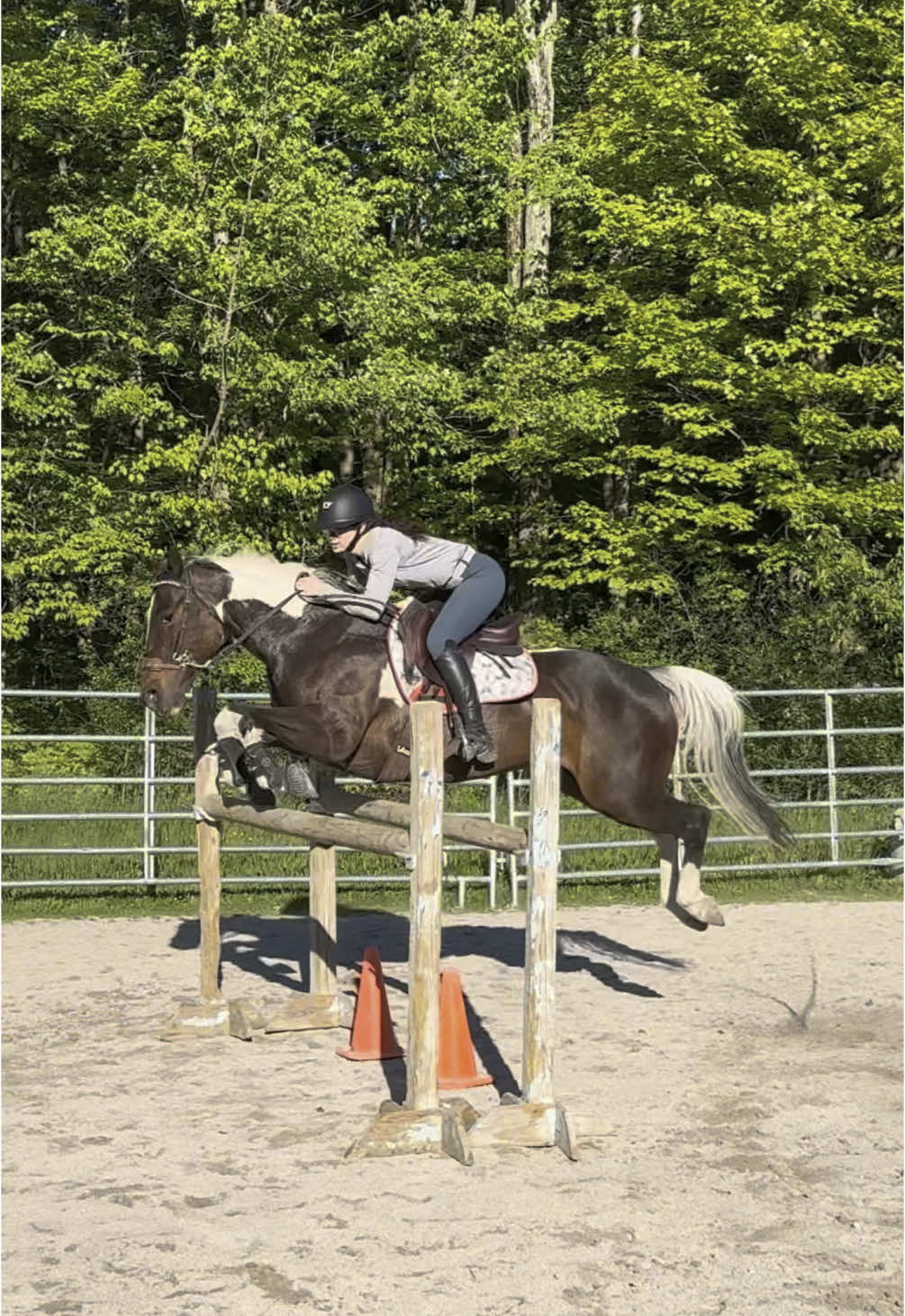Daisy fully jumped me out of the saddle tonight 😭😭 the video is so embarrassing LMAO #fypシ #equine #equestrian #fyp #fypシ゚viral🖤tiktok☆♡ #horsesoftiktok 