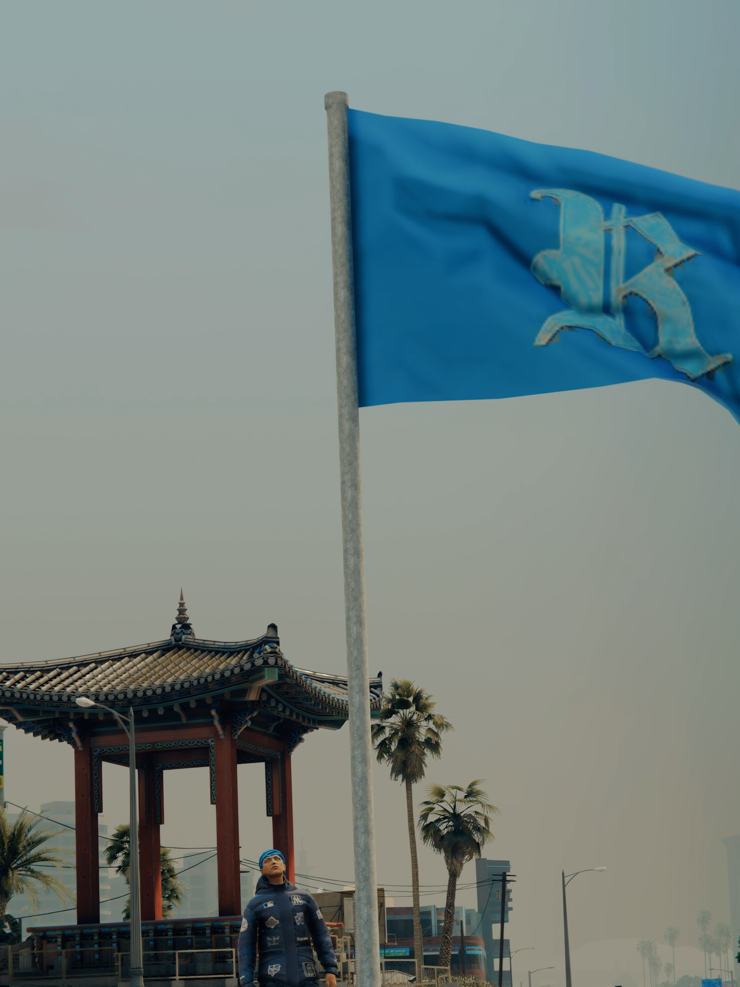 🕊️♿️ #dsr #executiveroleplay