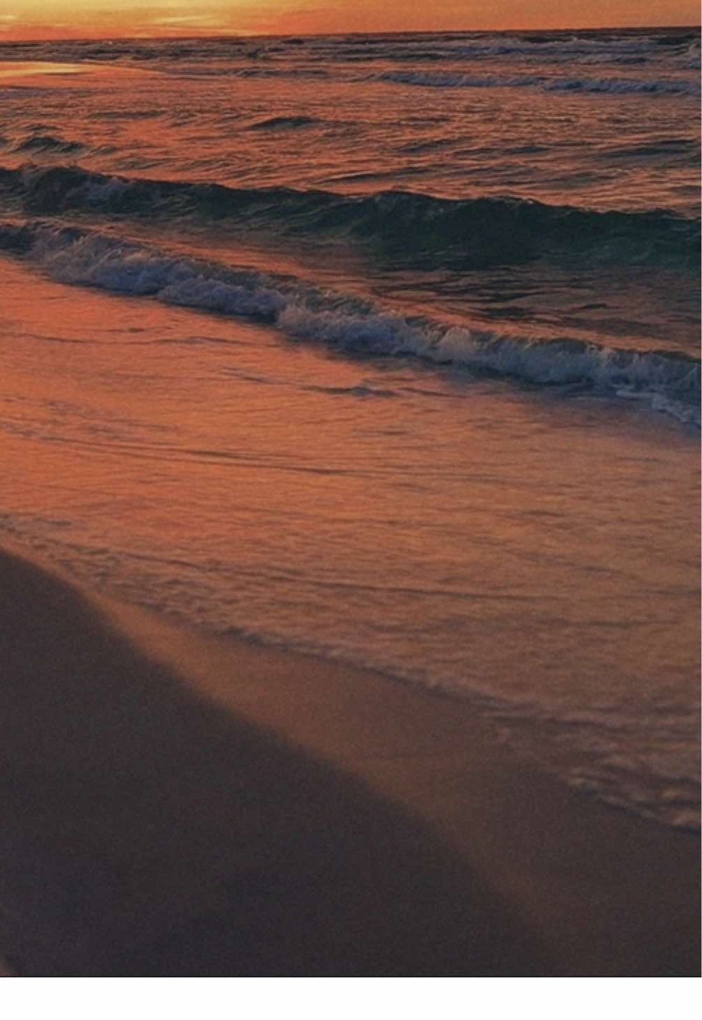 Your direction is more important than your speed. #quotes #quotesaboutlife #inspirationalquotes #motivationalquotes #ocean #oceantherapy #quotestoliveby #mentalwellness #slowdown #slowlivingforlife #slowliving #travel #iamatraveller #lifequotes #poetry #poem #explorepage #fyp #poetrycommunity #quote #Summer #sunset #viral #florida #deepthoughts #quotesaesthetic #saltynotes #questions #thoughtsforlife #deepquotes 