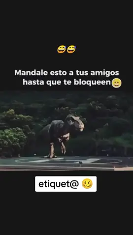 👆🏻🐸😺