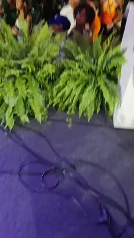 Seguimos desde Patillas, 7ma Feria Artesanal De Patillas hoy domingo 25/5/25 la Rumba.