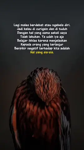 #kata #katakata 