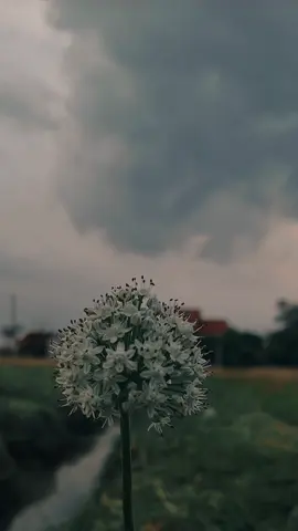 Muhasabah diri. #muhasabahdiri #remindertomyself #melangitkanmu #geaindrawari 