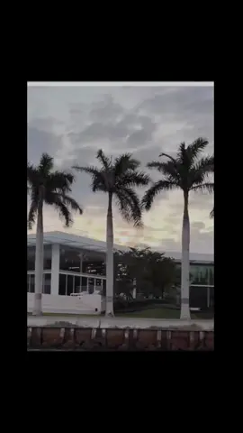 Billionaire watching TV in Miami mansion  #billionaireromance #Miami #tv 