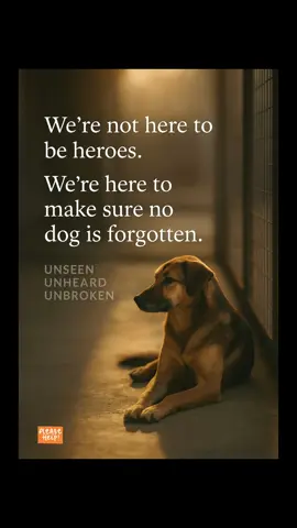 #creatorsearchinsights #rescuedogs #dogtransformation #adoptdontshop #rescuepet #beforeandafter #ammapack #neverwalkalone #teamgsd #rescue #aspca #savethem #shelterdog #RescueTheirStory #rescuedog #localshelter #savedogs #unseenunheardunbroken #ammapackcanineconnections 
