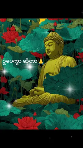 အချိန်ခနပေးပီးနာယူကြည့်ပါ🥰🙏 #fyp  #Buddha  #တရားတော်များနာယူနိုင်ပါစေ🙏 