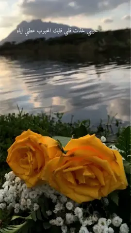 #حبيبي_خذت_قلبي_قلبك_المحبوب_عطني_اياه #محمد_عبده #أكسبلووووووووور #capcut #مجرد________ذووووووق🎶🎵💞 