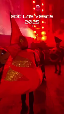 Why was this so cute and funny during @FISHER set😭 #edc #edclasvegas #fisher #rave 