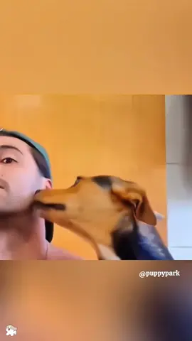 Dog imitate human #dog #dogsoftiktok #foryoupage #fyp #funnyvideo #funnydog 