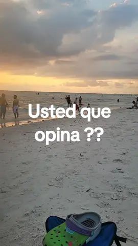 Usted que opina??