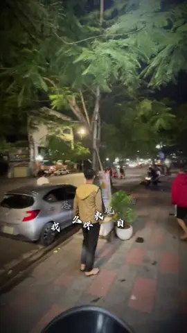 Hồ Sen Hải Phòng hót nhất CĐM #xuhuong #tiktokviral #theanh28 