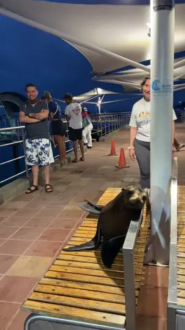 #ecuador🇪🇨 #galapagosislands 