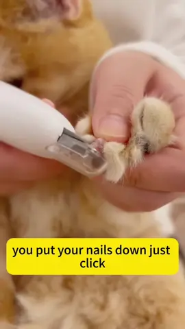 Pet nail clipper #cat #petnailclippers #2025 #giftideas #tiktokshop #petnails #tiktokmademebuyit 