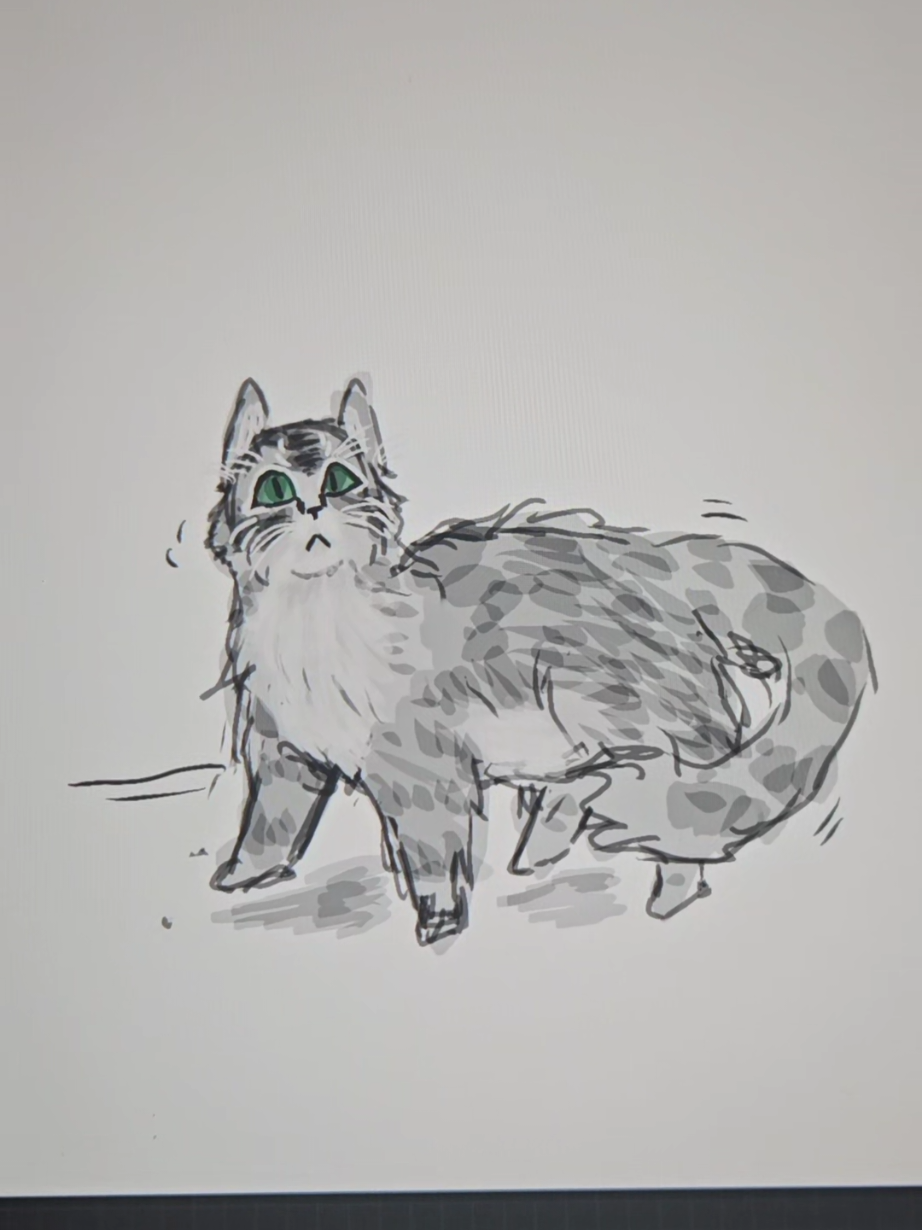 I haven't been home for Basically 5 months, visit sometimes but I always miss my cats when I have to leave again  </3  luckily they're being taken care of.  #cats #artsona 
