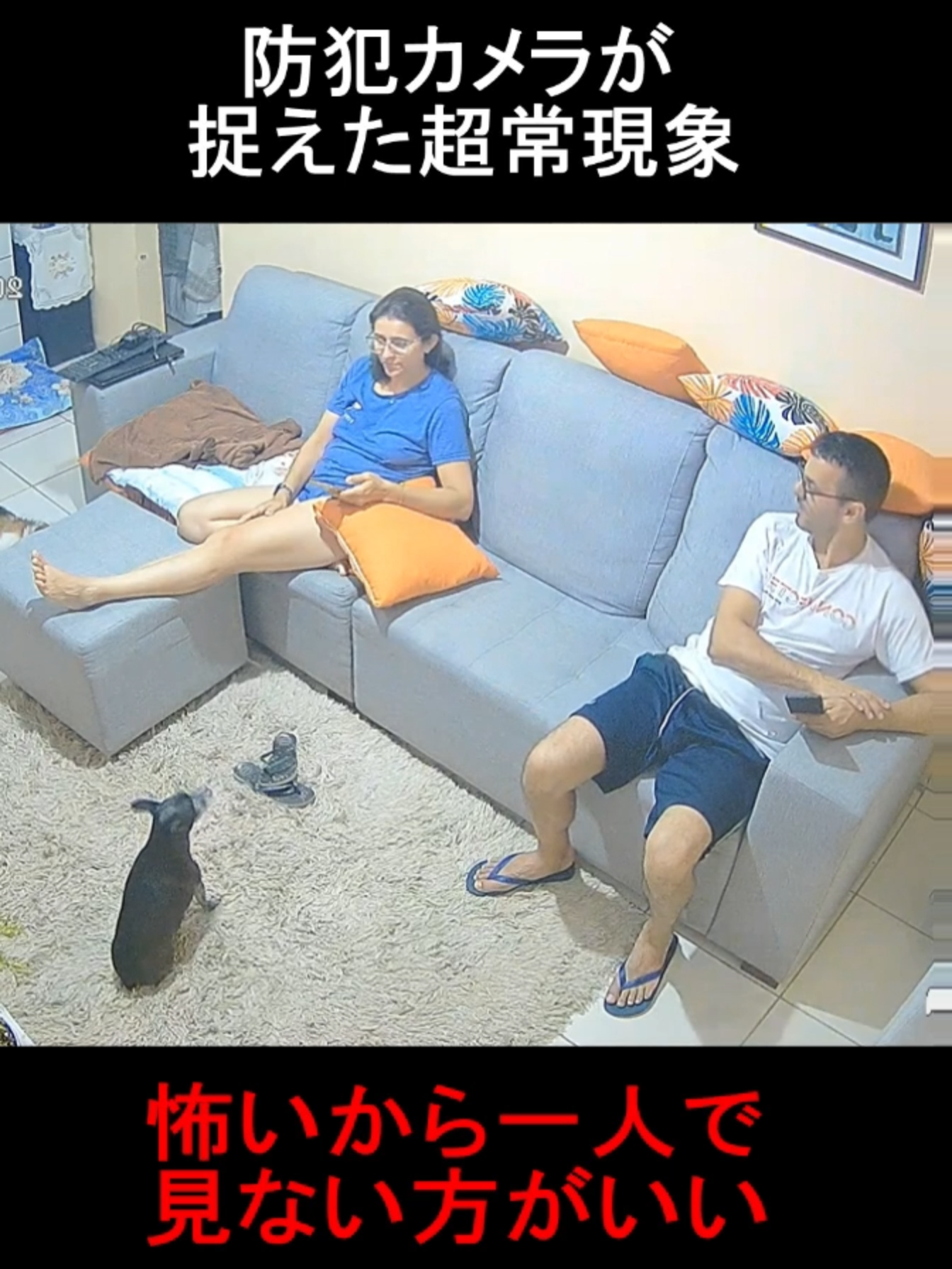 #ミステリー動画 #おばけがでるぞ #ミステリー #creepytiktok #怖い動画 #恐ろしい瞬間 #creepypasta #日本語 #fypp #怖い話 #fy #ホラー #scary #fyp #creepy #怖い #日本