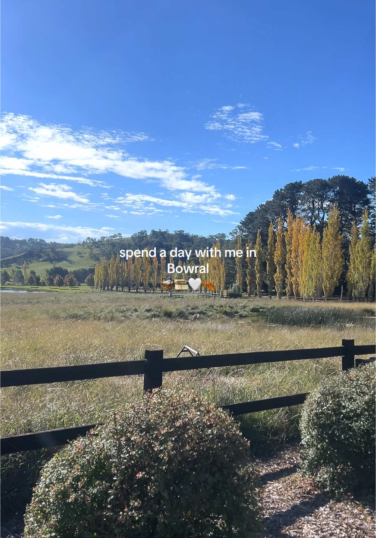 day trip to Bowral 🫶🏻 #fyp #foryoupage #bowral #southernhighlands #daytrip #travel #getaway #weekendgetaway #winetasting #pressshop 