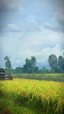 tíchh tịch tình tang...🙆🏻‍♂️🥰@FB Văn Khiêm🍏 @Hoàng Anh 95🇰🇭🚜🌾 @95 Du Ba Nhót 🌾 
