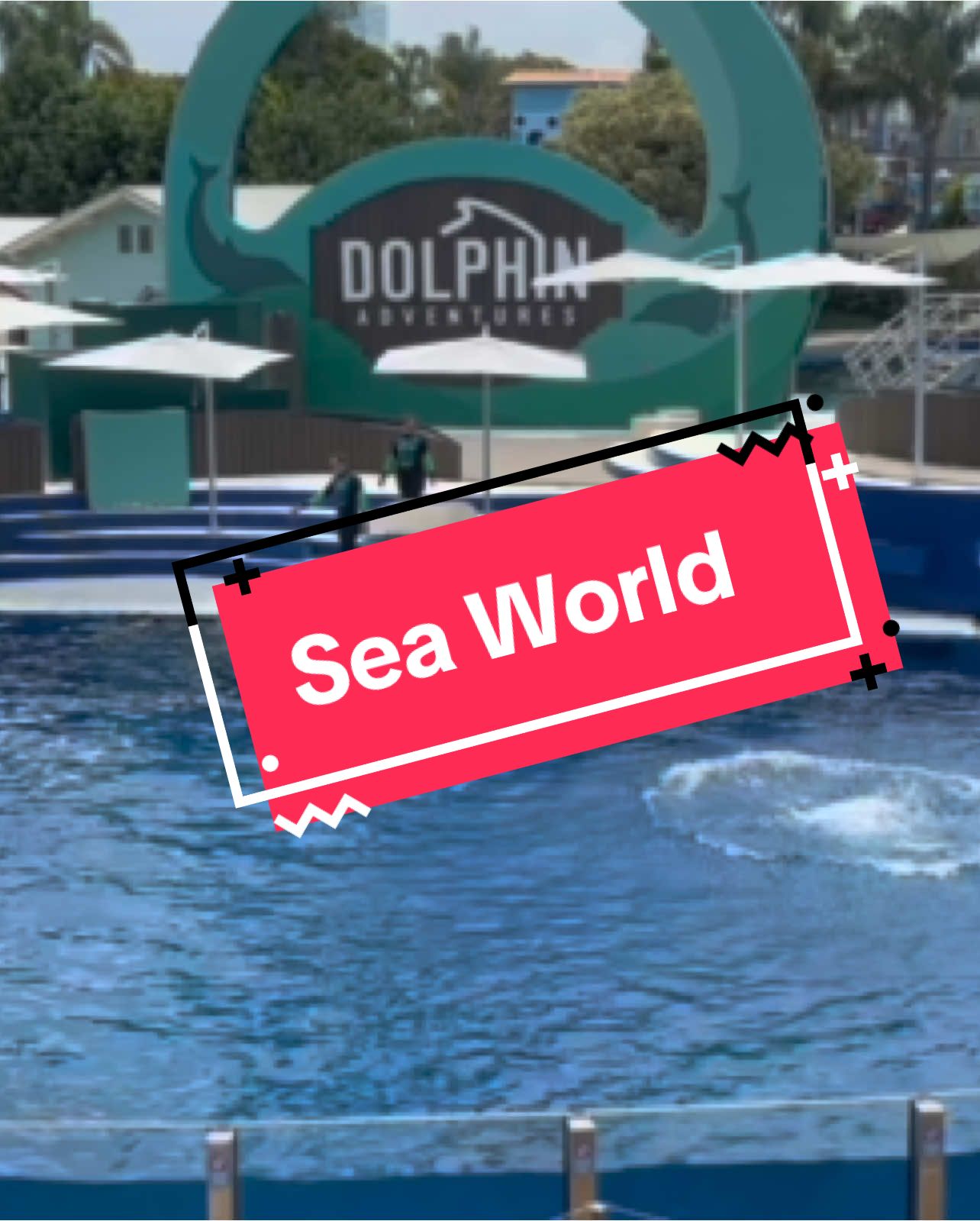#sandiegoseaworld #diaperfecto #conmisamores #nuestrodia 🙏🌎💜🦋