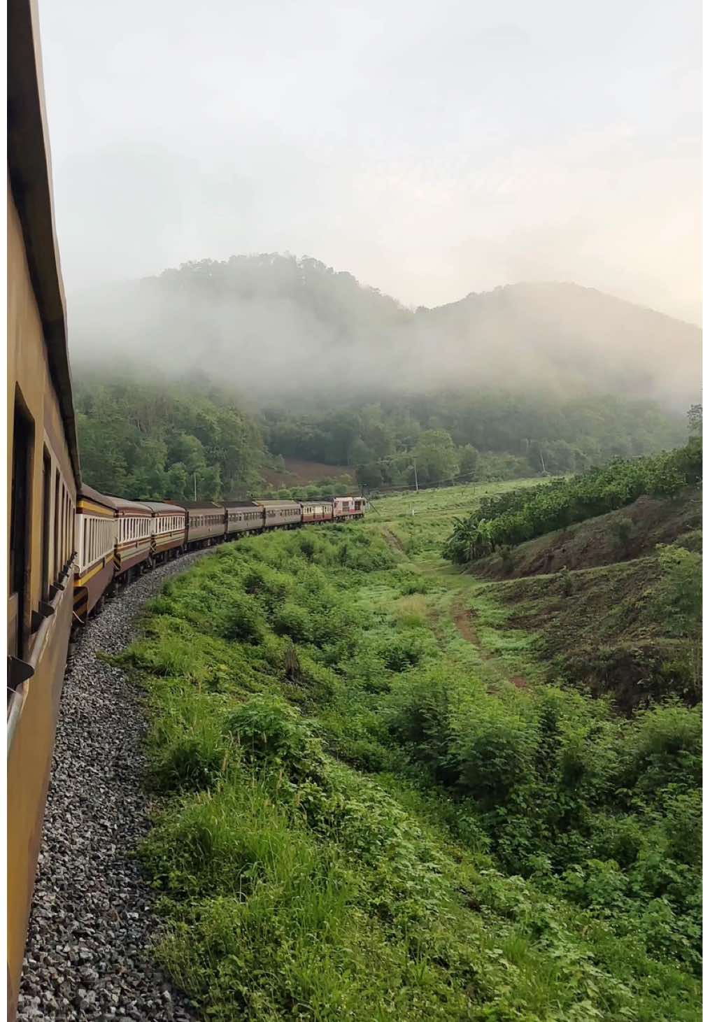 วิวข้างทางรถไฟไทยของเราก็สวยไม่แพ้ต่างประเทศเหมือนกันนะ เช้าๆฟิลดีที่สุด 🚂✨☁️