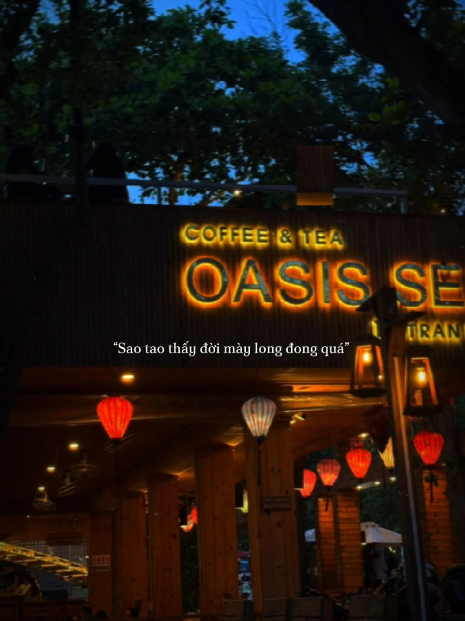 sao thấy đời long đong quá.#fyp #xuhuong #nhachaymoingay #sbtentertainment #tramcamxuc90 