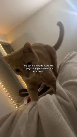 Dexter told me to post, :) I don’t think people realize how much Dexter means to me, he’s ALWAYS here when no one else ever is like I’ve tried man it’s so fucking tiring. #fyp #vent #sorryforthevent 