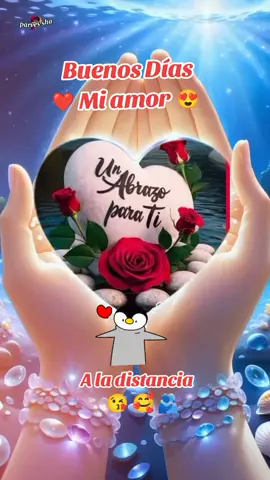 #CapCut buenos días amorcito de mi vida .#❤️😍😘 