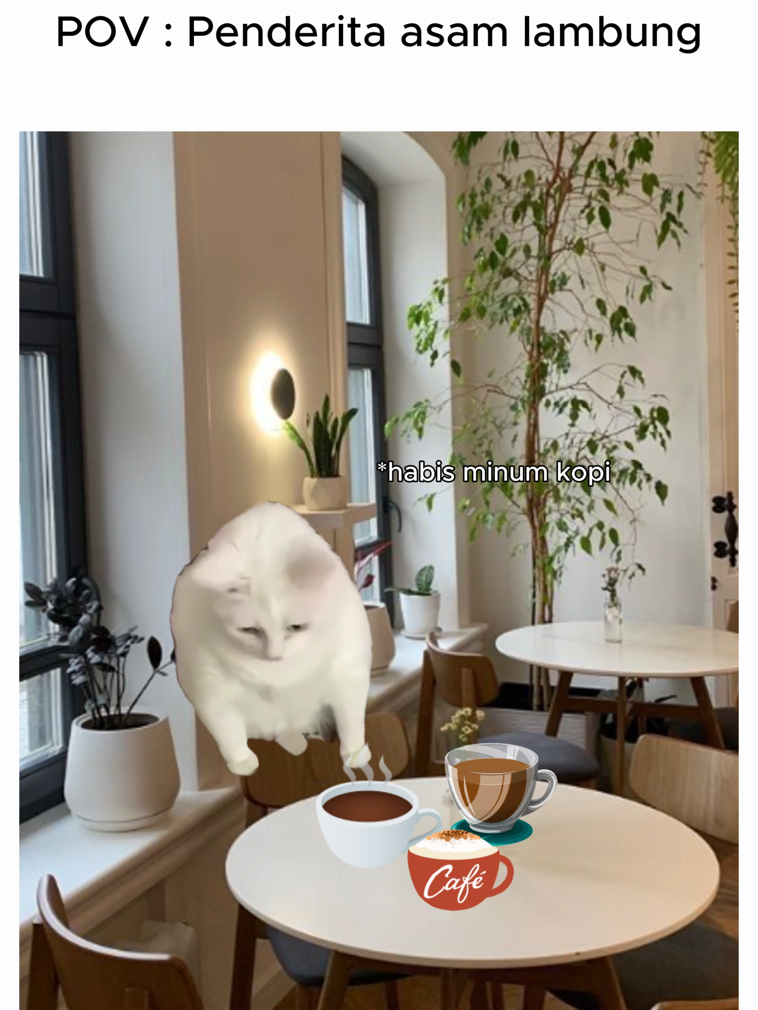 Apalagi kalo collab sama darah rendah🥲 #kucinglucu #memekucing #meme #funnycat #kucinglucu #ngakak #relationship #dasarcewe #dasarcowo #fyp #relationship #berandatiktok #foryoupage #gabut #shortvideo