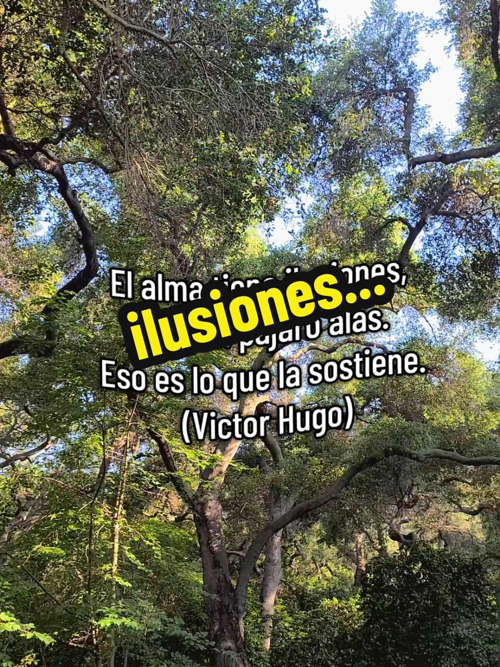 #frases #reflexiones  #motivacion  #marketingdigital🙂 #creeentimismo😉  #creadordecontenido🙂 #frasesfilosicas  #gracias #naturaleza  #sigueme 