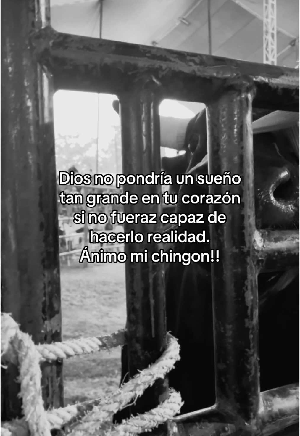 Ánimo mi chingon@ #viral_video #paratiiiiiiiiiiiiiiiiiiiiiiiiiiiiiii #fyp #motivation #motivacional #corridos #jaripeo #tradiciones #tradicion #jaripeousa #jaripeousa #jaripeos #montadetoros #jaripeosinfronteras #jaripeo_ranchero #jinetes #ganaderos #caporales #jaripeoextremo #jaripeobaile #jaripeomexicano #oaxaca #toros #torosdereparo 