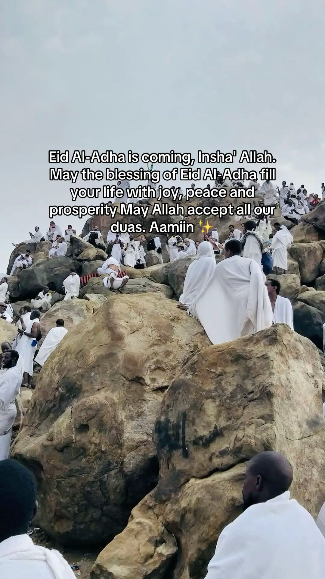 Id diambil dari bahasa Arab aada (yauudu) yang artinya kembali. Sedangkan, Adha diambil dari kata adhat yang berasal dari kata udhiyah, artinya kurban. Jadi, Idul Adha bisa diartikan kembali berkurban atau hari raya penyembelihan hewan kurban. Makna kurban ketikan kita ikhlas dan taat kepada perintah Allah SWT dan semata mata karena Allah Ta'allah 🤍✨ #adha #eidmubarak #eidadha #ibadahhaji #ibadahkurban #ibadah #haji #zulhijjah #selfreminder #quotes 
