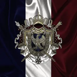 Let’s pretend im not too late for this trend 🌚 #napoleon #napoleonbonaparte #napoleonicwars #frenchempire #propoganda #propogandatrend #trending #funny #murat #lannes #junot #trend #france #aesthetic #phonk #editaudio 