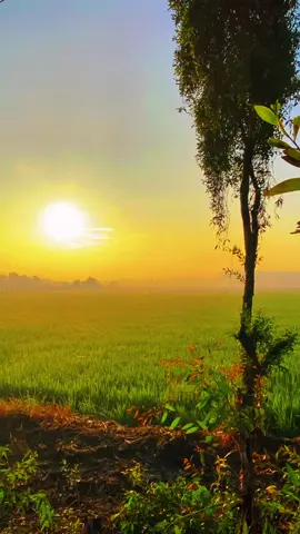 #CapCut Hymn for the weekend . #capcutvntn #viral #hymnfortheweekend #sky #natural #chill 