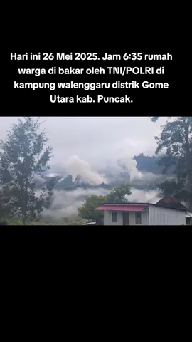 Save Papua #papua #papuahariini #kejadianpapua #puncakpapua #pembakaranrumah #savepapua 