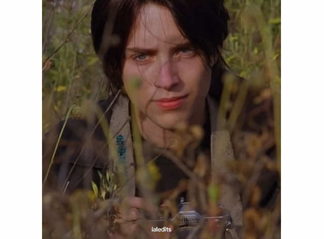 When they say “prime Megan Fox” but I give them a “young Vincent Kartheiser” 🔄 #vincentkartheiser #vincentkartheiseredit #alexisbledel #lanadelrey #childishgambino #meganfox 