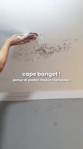 habis bocor terbitlah jamur... #plafon #jamurdiplafon #rumahlembab #rumahbocor