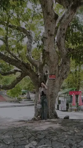 Minh khong quan tam tren oi nay co bao nhieu nguoi khong tot voi minh Boi vi ai cung nhu ai minh van se luon dung su tu te cua ban than e oi ap voi ho Hoc cach kiem sot cam xuc Mot nua la vi ton trong nguoi khac Nua con lai la e bao ve chinh minh Cu binh than ma buoc on gian nhung hanh phuc Chi can ban than thay u la uoc nuibaden baden #foryou #fry #xuhuong #capcut