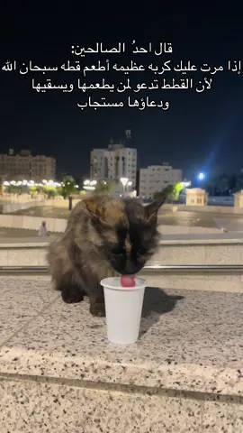 #الرفق_بالحيوان #صدقة_جارية #اكسبلورexplore #اكسبلور #عمل_إنساني 