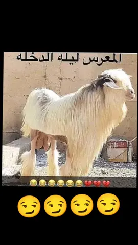 #في هذا اليوم 