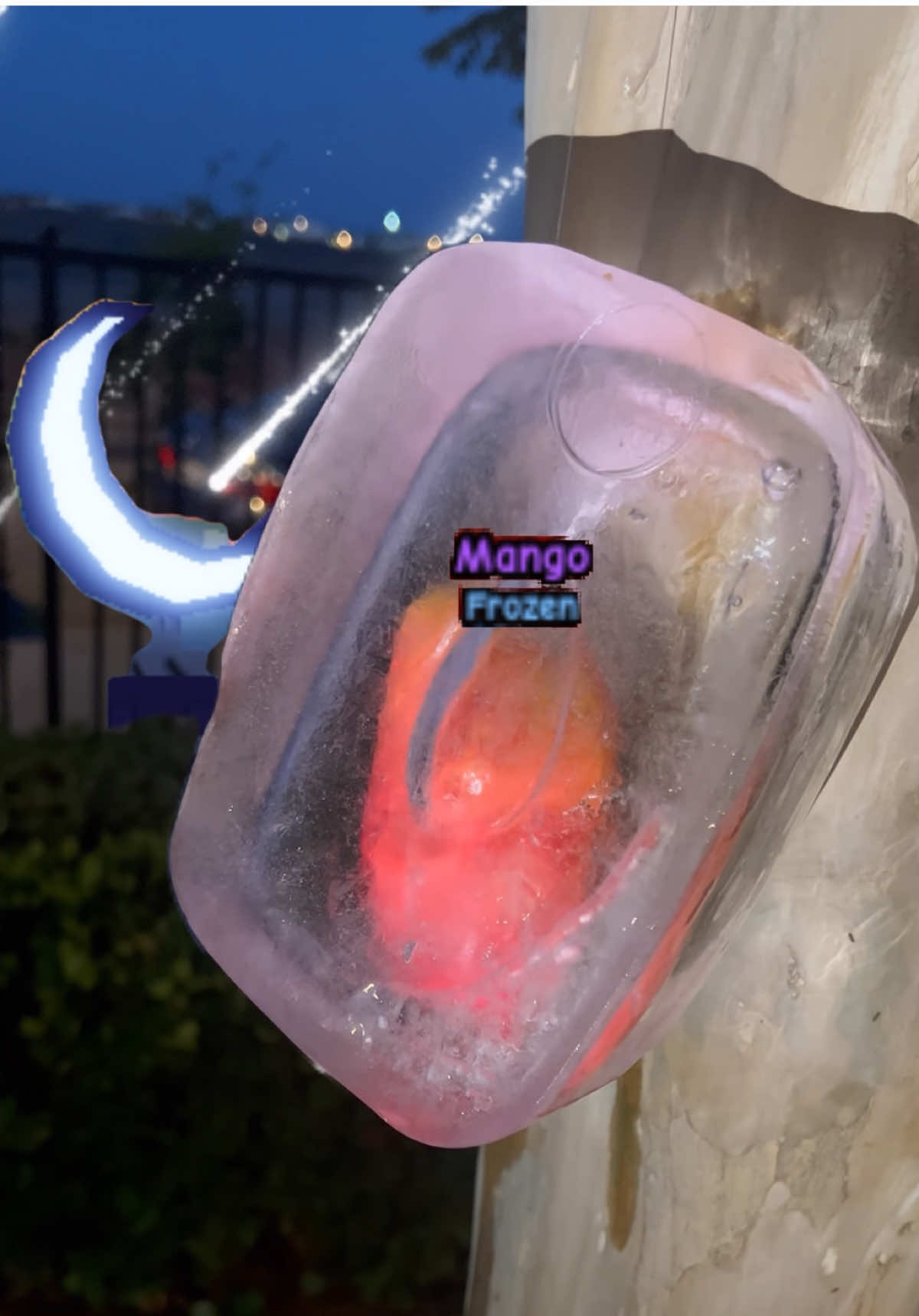 Grow A Garden Mango Mutations.. Any Offers? DO I PICK IT OR WHAT?! #growagarden #roblox #robloxfyp #moonmelon #moonmango 