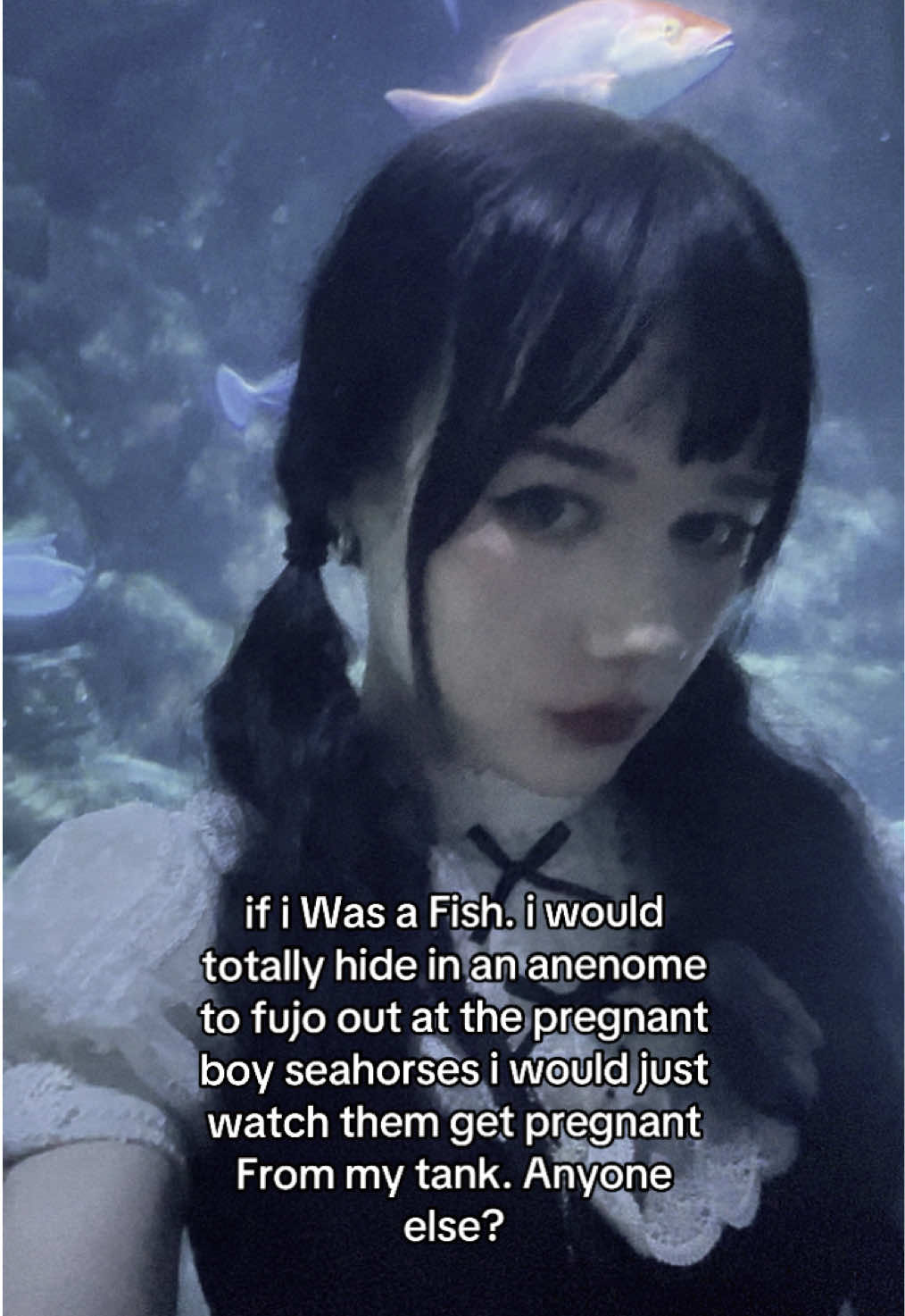 inb4 They carry eggs in the pouches