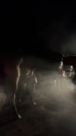 De raspa esta noche.  🐎#caballos #caballosbailadores  #Recuerdos #caballostiktok #caballosoficial #caballosymujeres 