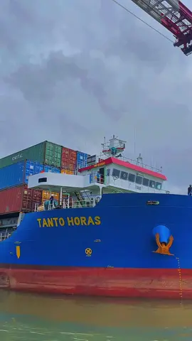 Asalkan kau puas dengan hidupmu, artinya kau menjalani hidupmu dengan baik meskipun tidak sempurna #fyp #fypage #foryou #indonesia #fyppppppppppppppppppppppp #pelautindonesia #pelautpunyacerita #creatorsearchinsights #xyzabc 