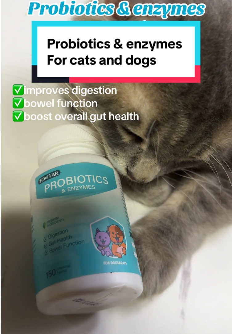 Probiotics & enzymes for your cats and dogs help for digestion and bowel function of your fur baby #probiotics #dogcat #catsanddogs #enzymes #vitaminsforfurbabies 