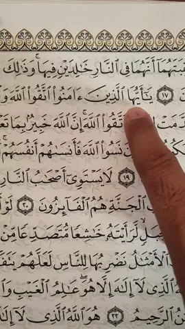 #quran #foryoupage #fyp 