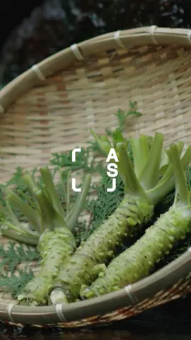 🌿💧 Izu Wasabi: Grown by Mountains, Loved for Generations Did you know Shizuoka is the birthplace of wasabi? In the cool, crystal-clear waters of the Amagi Mountains, Izu’s wasabi grows slow and strong — nurtured by tradition and nature. Recognized by the United Nations (GIAHS), Izu’s wasabi fields use the Tatami-Ishi Method — a 19th-century stone-layered system that keeps spring water clean, cool, and oxygen-rich. Perfect for cultivating premium wasabi. 🥄 In Nishi-Izu, ancient volcanic soil from the Nishiina Layer Group and pure mountain spring water create wasabi that’s sharp, aromatic, and full of depth — a true taste of the land. What to Try in Izu: 🍚 Wasabi Don – freshly grated wasabi over warm rice with bonito flakes. Simple, bold, unforgettable. 🍦 Wasabi Ice Cream – sweet, creamy, with just the right kick. Surprisingly addictive! 👇 What’s the best wasabi dish you’ve tried in Japan? Let us know! 👇 #AnotherSideofJapan #visitjapanjp #IzuWasabi #WasabiDon #WasabiIceCream #ShizuokaGourmet #JapanAgriculture #GIAHS #NishiIzu #AmagiMountains #LocalFlavors #JapaneseHeritage #体験型観光 #静岡わさび #日本美食旅 #わさび丼