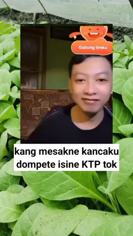 kancane sopo kuwi ke #eripraslive #katakatalucu #eripras3 #fyp #eripras3_🤣🤣🤣ngakak #eriprasfans #eripras #eripras3_ #fyp?tiktok♥️ 