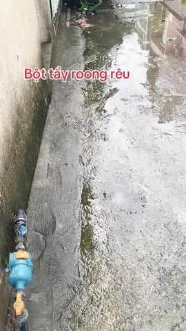 Tẩy roong rêu 99k/3 gói #tayrongreu #tayrong #tayreu#xuhuongtiktok #thinhhanhtiktok #nguyenthihang5568 