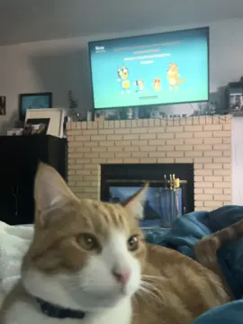 He knows the words by now I think🥰#fyp #fypシ #fypage #foryoupage #catfyp #bluey #blueytok #cats #cat #catsoftiktok #orangecats #orangecat #kitty #orangecatsoftiktok #orangecatsarethebest #catmom #catmomlife #tv #tvshow #catwatchingtv #catswatchingtv #funny #funnycats #funnyvideo #funnypets #viral #viralpets #viralcat #viralvideo #cattok #kittytok 