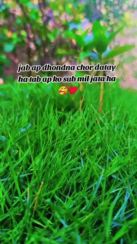 #CapCut #islamabad #indianpakistanwar #alhamdulillahforeverything #uzi💯🥰♥️ #uzi💯🥰♥️ 