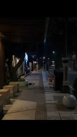 #fyp #lyrics #tulungagung24jam 